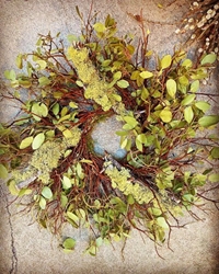 18” Manzanita & Wolf Lichen Wreath 