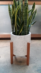 Dale Plant Stand 