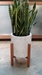 Dale Plant Stand - 233985,233986