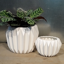 Fluted Ceramic Pot 