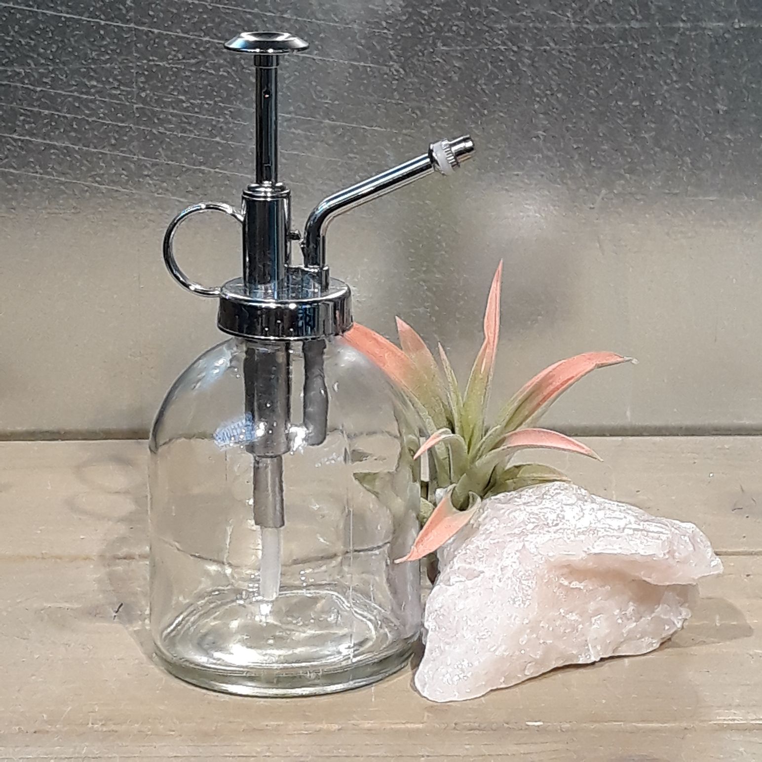Glass Plant Mister - Clear