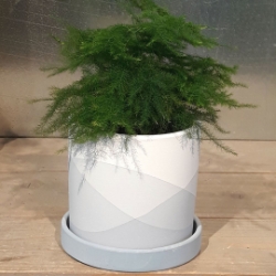 Keppell Pot 