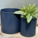 Romey - Blue - 2330438
