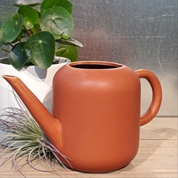 Sienna Stoneware Watering Can 