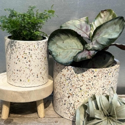 Terrazzo Planter 