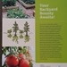 The Beginner's Guide to Growing Great Vegetables - 607251