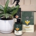 We the Wild - Essential Plant Care Kit - 275001