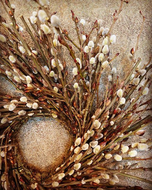 Pussy Willow Wreaths
