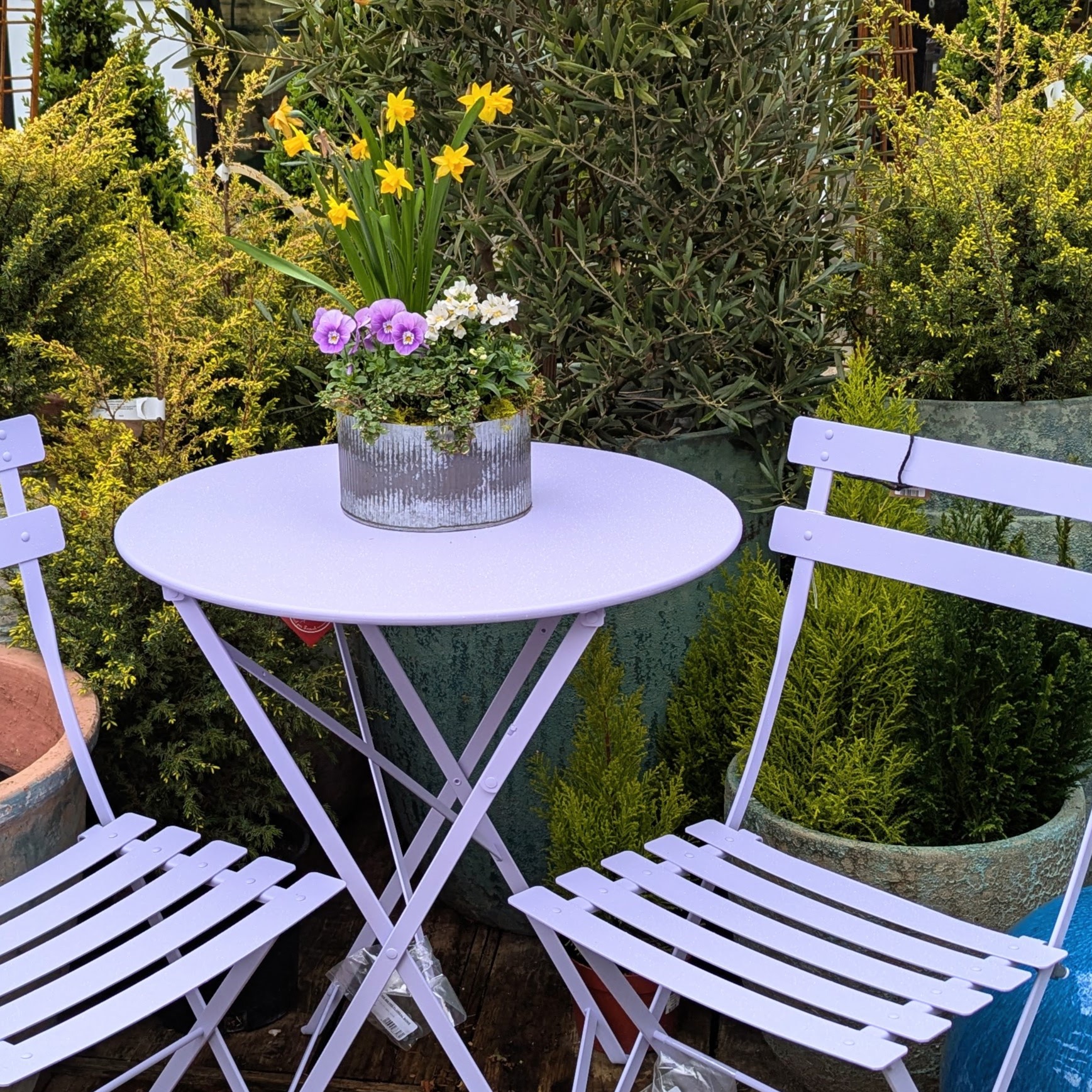The Marshmallow Fermob Bistro Set with a decorative plant 