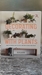 Decorating with Plants  - 607215